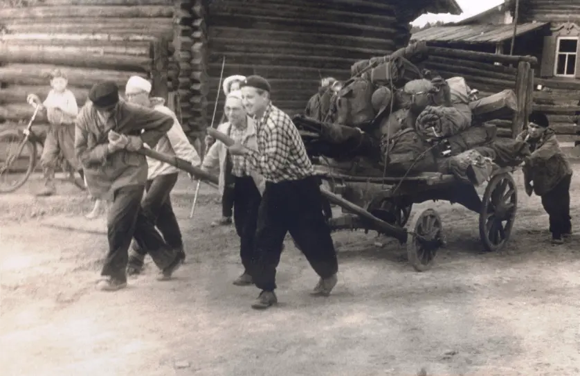 Все лошади на пастбище. Но выход найден